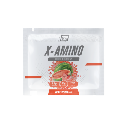 2SN X-Amino 1 порция 12 g