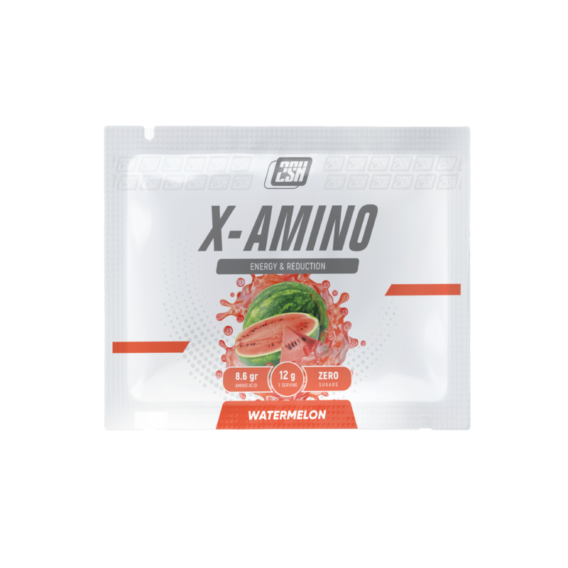 2SN X-Amino 1 порция 12 g